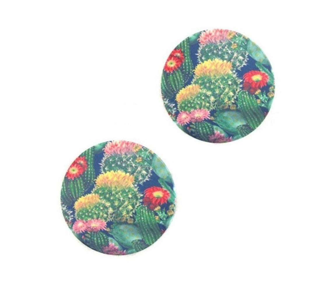Succulent-Cactus Stone Car Coasters