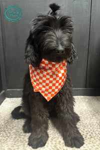 Pep Rally Wild Rag Small Size Orange