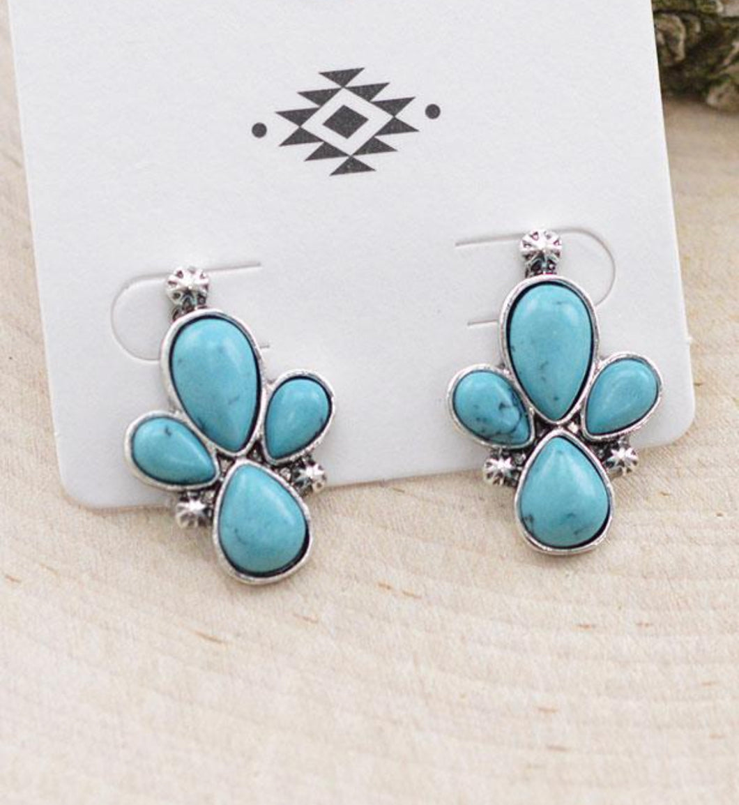 The Black Hills Earrings